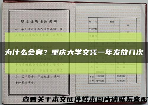 为什么会臭？重庆大学文凭一年发放几次缩略图