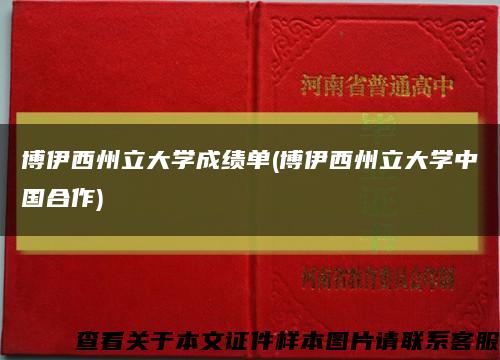 博伊西州立大学成绩单(博伊西州立大学中国合作)缩略图