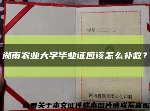 湖南农业大学毕业证应该怎么补救？缩略图