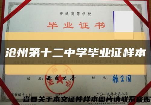 沧州第十二中学毕业证样本缩略图