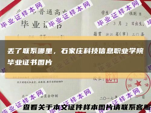 丢了联系哪里，石家庄科技信息职业学院毕业证书图片缩略图