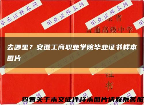 去哪里？安徽工商职业学院毕业证书样本图片缩略图