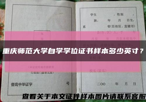 重庆师范大学自学学位证书样本多少英寸？缩略图