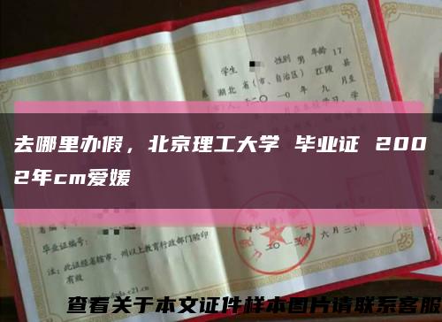 去哪里办假，北京理工大学 毕业证 2002年cm爱媛缩略图