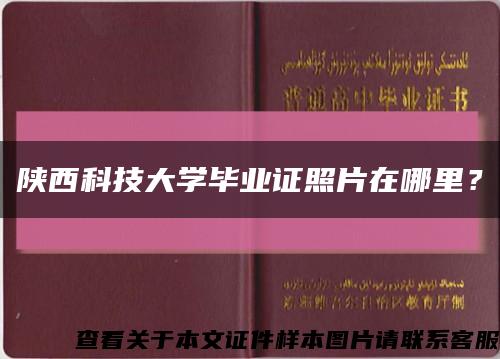 陕西科技大学毕业证照片在哪里？缩略图