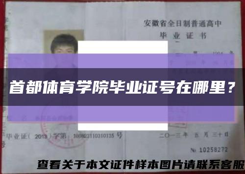 首都体育学院毕业证号在哪里？缩略图