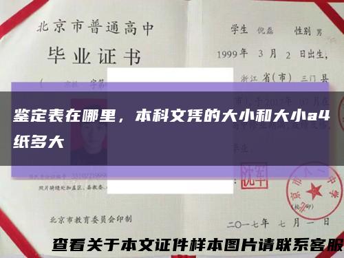 鉴定表在哪里，本科文凭的大小和大小a4纸多大缩略图