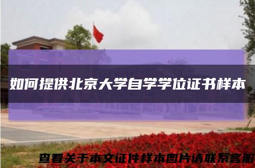 如何提供北京大学自学学位证书样本缩略图