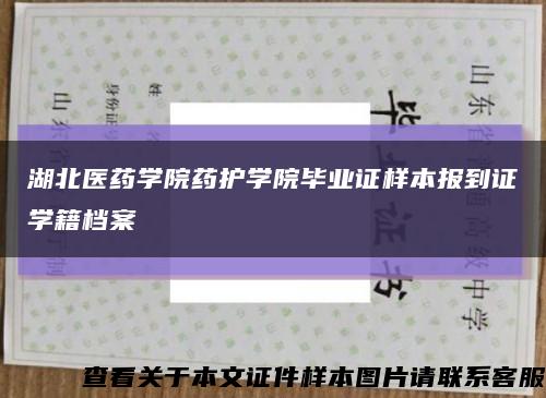 湖北医药学院药护学院毕业证样本报到证学籍档案缩略图