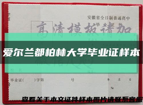 爱尔兰都柏林大学毕业证样本缩略图