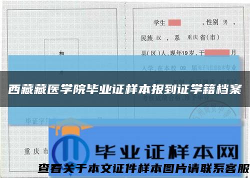 西藏藏医学院毕业证样本报到证学籍档案缩略图