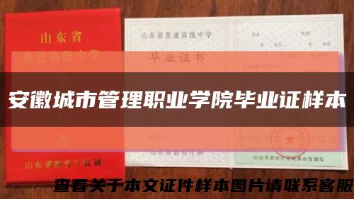 安徽城市管理职业学院毕业证样本缩略图