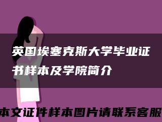 英国埃塞克斯大学毕业证书样本及学院简介缩略图