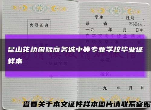 昆山花桥国际商务城中等专业学校毕业证样本缩略图