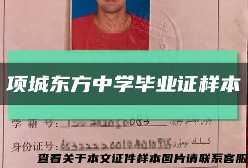 项城东方中学毕业证样本缩略图