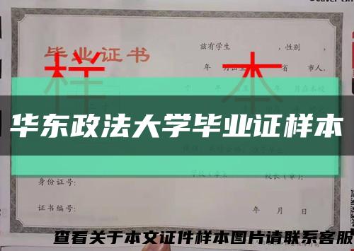 华东政法大学毕业证样本缩略图