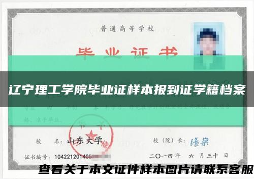 辽宁理工学院毕业证样本报到证学籍档案缩略图