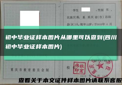 初中毕业证样本图片从哪里可以查到(四川初中毕业证样本图片)缩略图