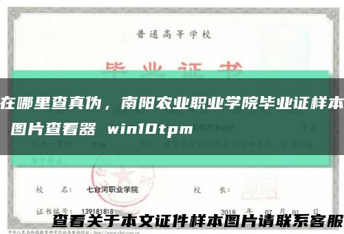 在哪里查真伪，南阳农业职业学院毕业证样本 图片查看器 win10tpm缩略图