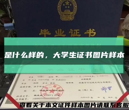 是什么样的，大学生证书图片样本缩略图