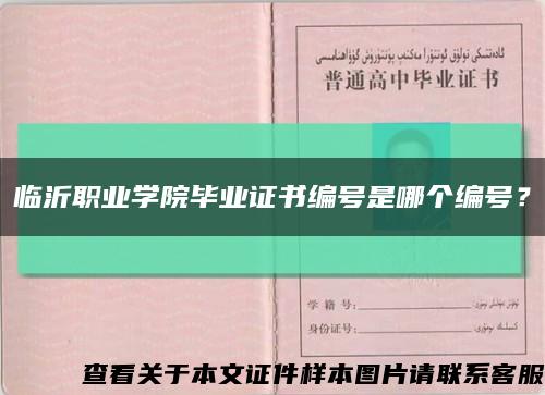 临沂职业学院毕业证书编号是哪个编号？缩略图