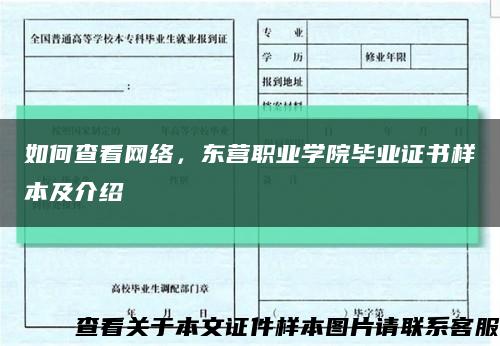 如何查看网络，东营职业学院毕业证书样本及介绍缩略图