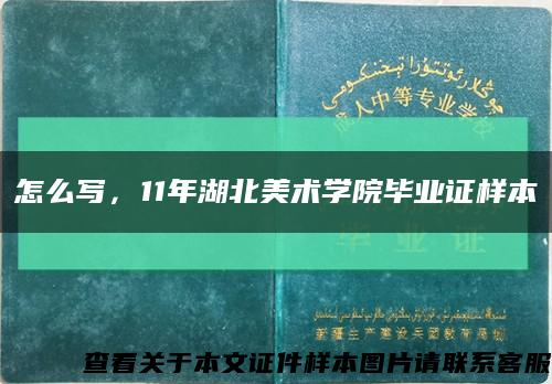 怎么写，11年湖北美术学院毕业证样本缩略图