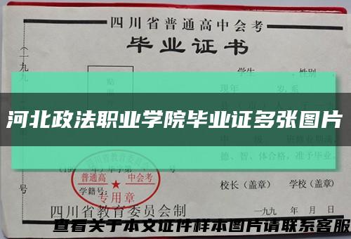 河北政法职业学院毕业证多张图片缩略图