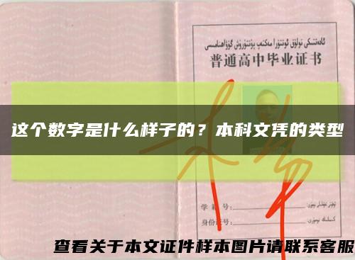 这个数字是什么样子的？本科文凭的类型缩略图