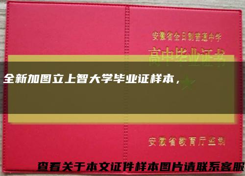 全新加图立上智大学毕业证样本，가투립 상지대 졸업장缩略图