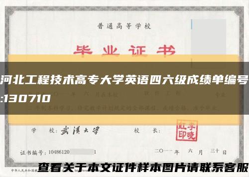 河北工程技术高专大学英语四六级成绩单编号:130710缩略图