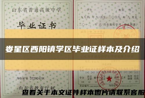 娄星区西阳镇学区毕业证样本及介绍缩略图