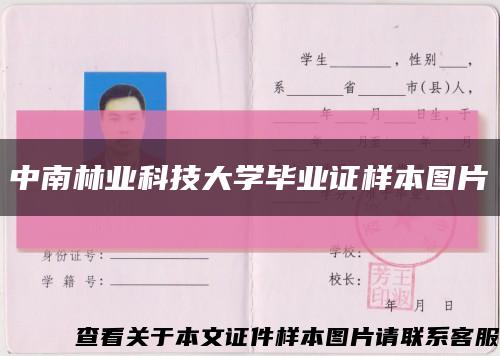 中南林业科技大学毕业证样本图片缩略图