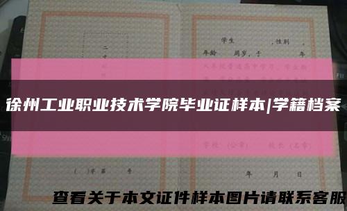 徐州工业职业技术学院毕业证样本|学籍档案缩略图
