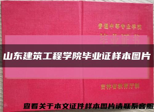 山东建筑工程学院毕业证样本图片缩略图