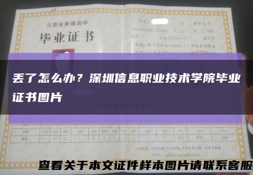 丢了怎么办？深圳信息职业技术学院毕业证书图片缩略图