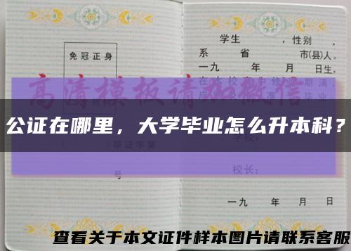 公证在哪里，大学毕业怎么升本科？缩略图