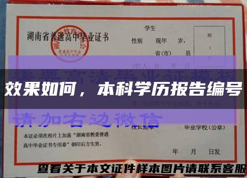 效果如何，本科学历报告编号缩略图