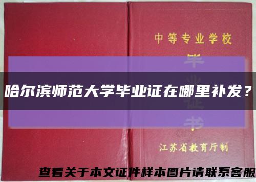 哈尔滨师范大学毕业证在哪里补发？缩略图