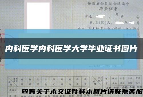 内科医学内科医学大学毕业证书图片缩略图