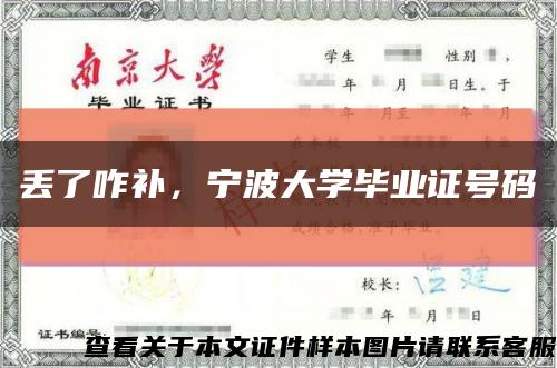 丢了咋补，宁波大学毕业证号码缩略图