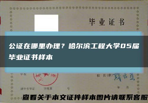 公证在哪里办理？哈尔滨工程大学05届毕业证书样本缩略图