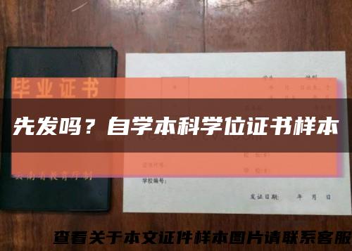 先发吗？自学本科学位证书样本缩略图