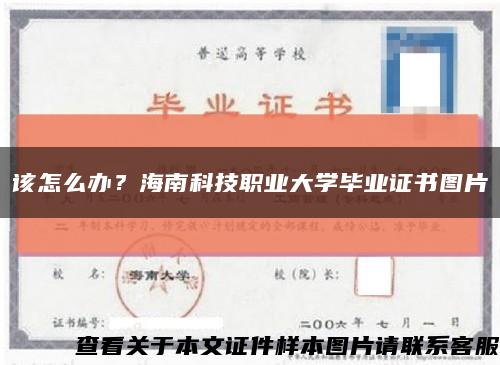 该怎么办？海南科技职业大学毕业证书图片缩略图