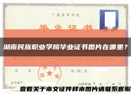 湖南民族职业学院毕业证书图片在哪里？缩略图