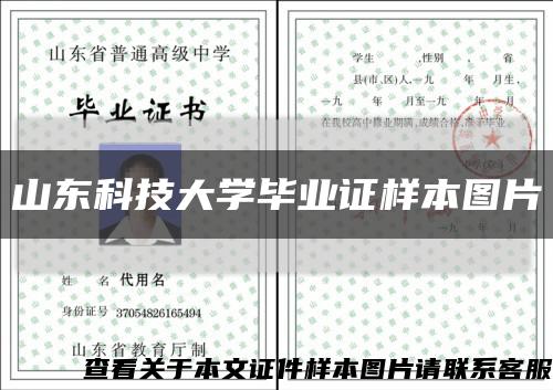 山东科技大学毕业证样本图片缩略图