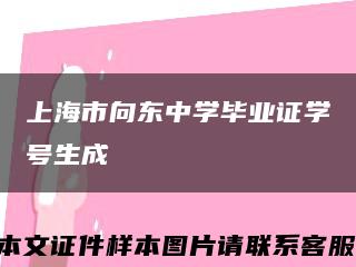 上海市向东中学毕业证学号生成缩略图