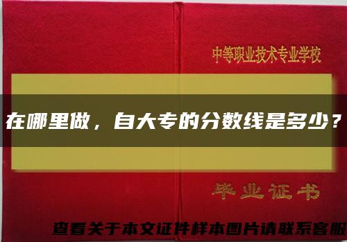 在哪里做，自大专的分数线是多少？缩略图