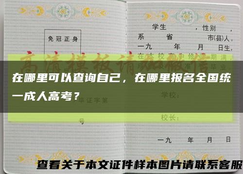 在哪里可以查询自己，在哪里报名全国统一成人高考？缩略图