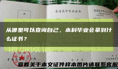 从哪里可以查询自己，本科毕业会拿到什么证书？缩略图